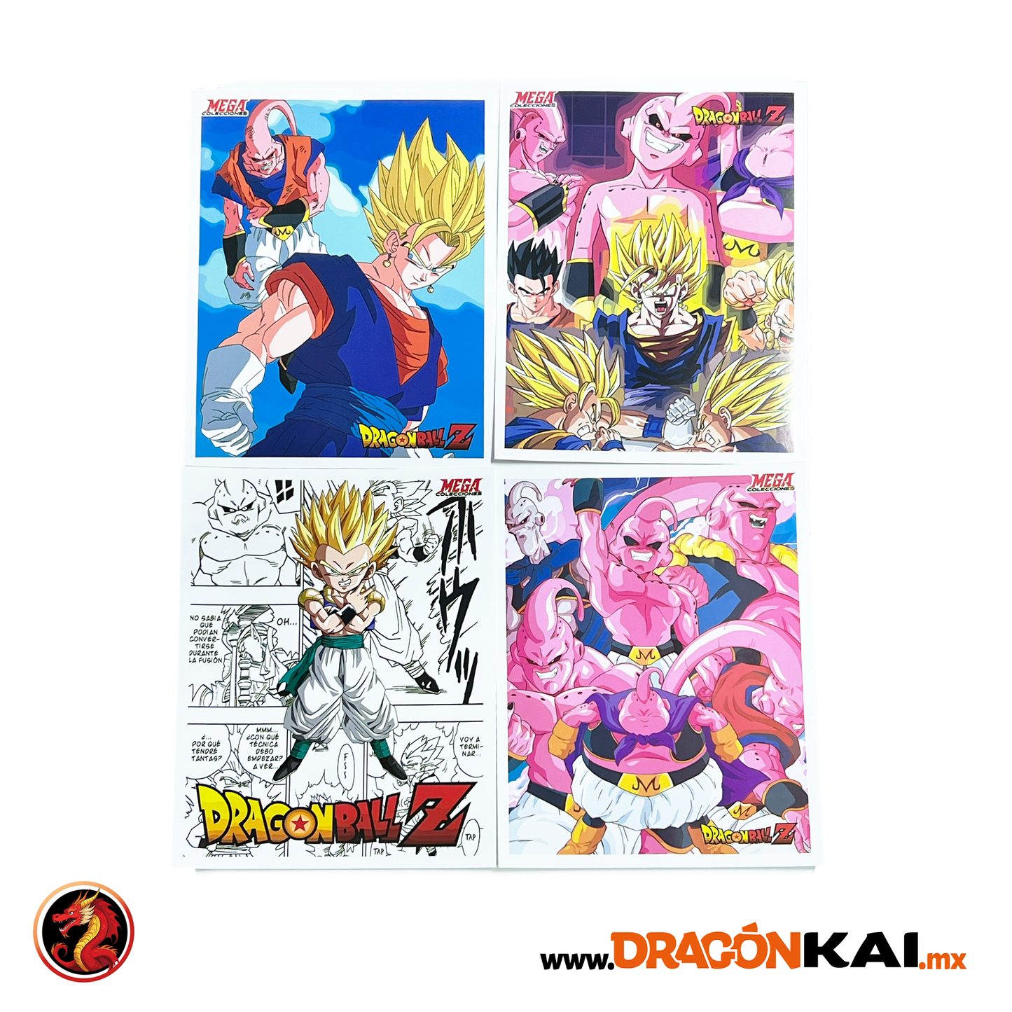 Álbum Dragon Ball Z6 (Re. Navarrete) + Set completo a pegar