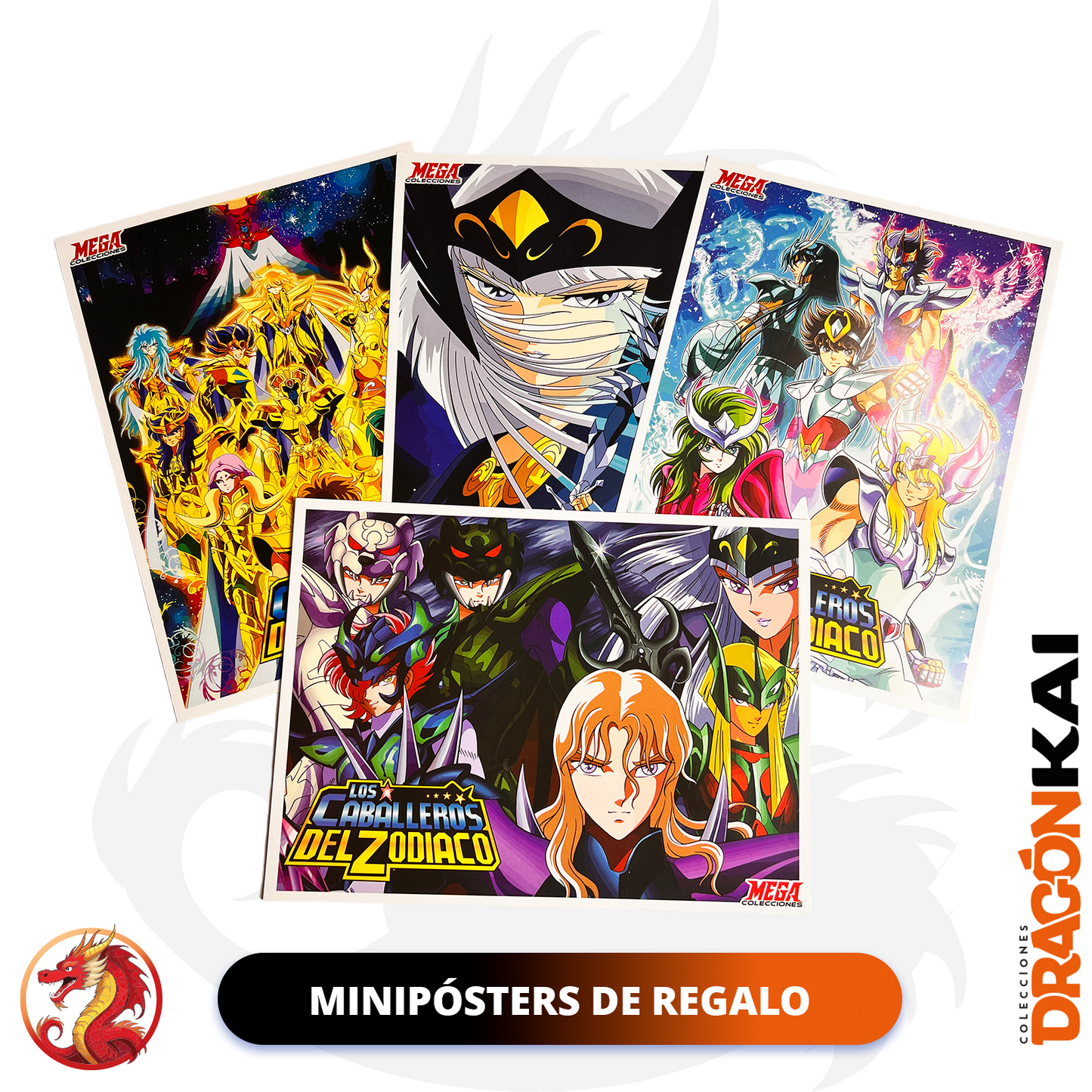 Álbum Caballeros del Zodiaco 2: Saga de Asgard (Re. Navarrete) + Set completo a pegar