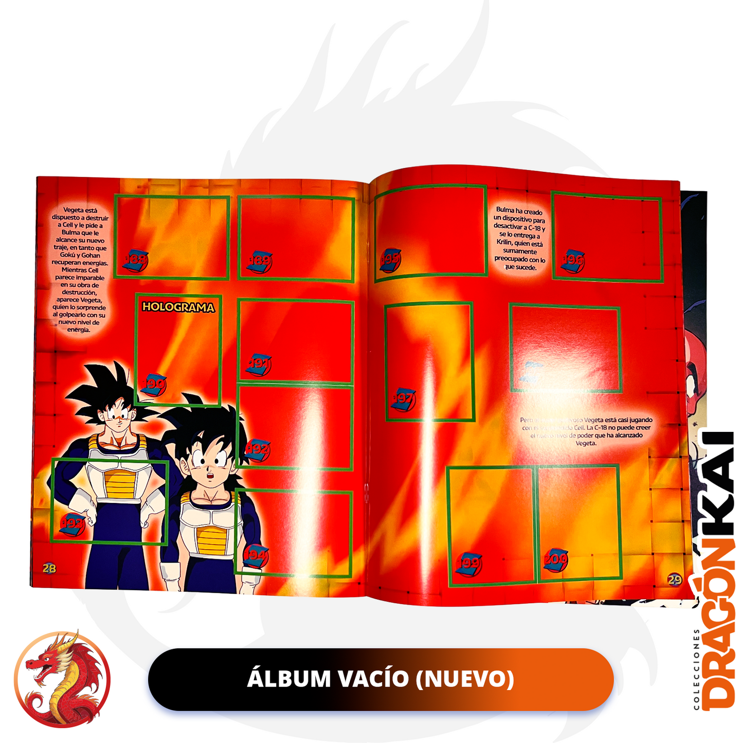 Álbum Dragon Ball Z3 (Re. Salo) + Set completo a pegar