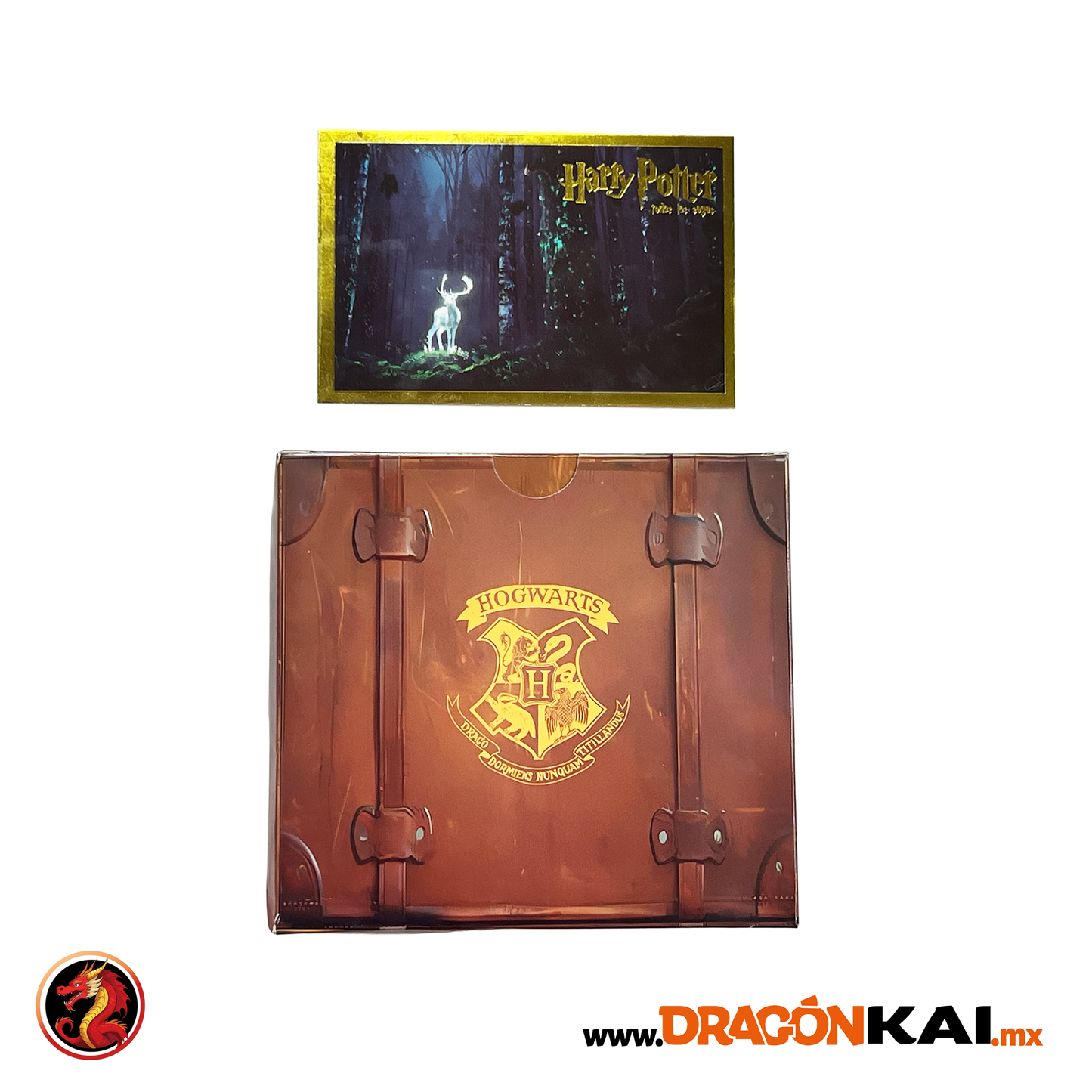Álbum Harry Potter: Todas las sagas + Set completo a pegar