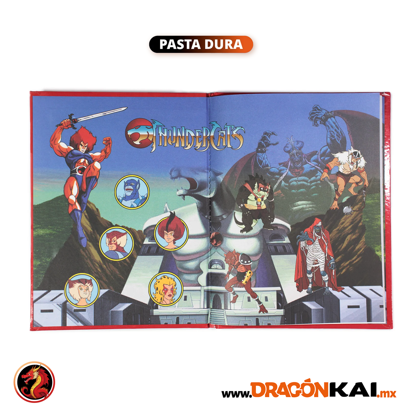 Álbum Pasta Dura Thundercats (Re. Navarrete) + Set completo a pegar