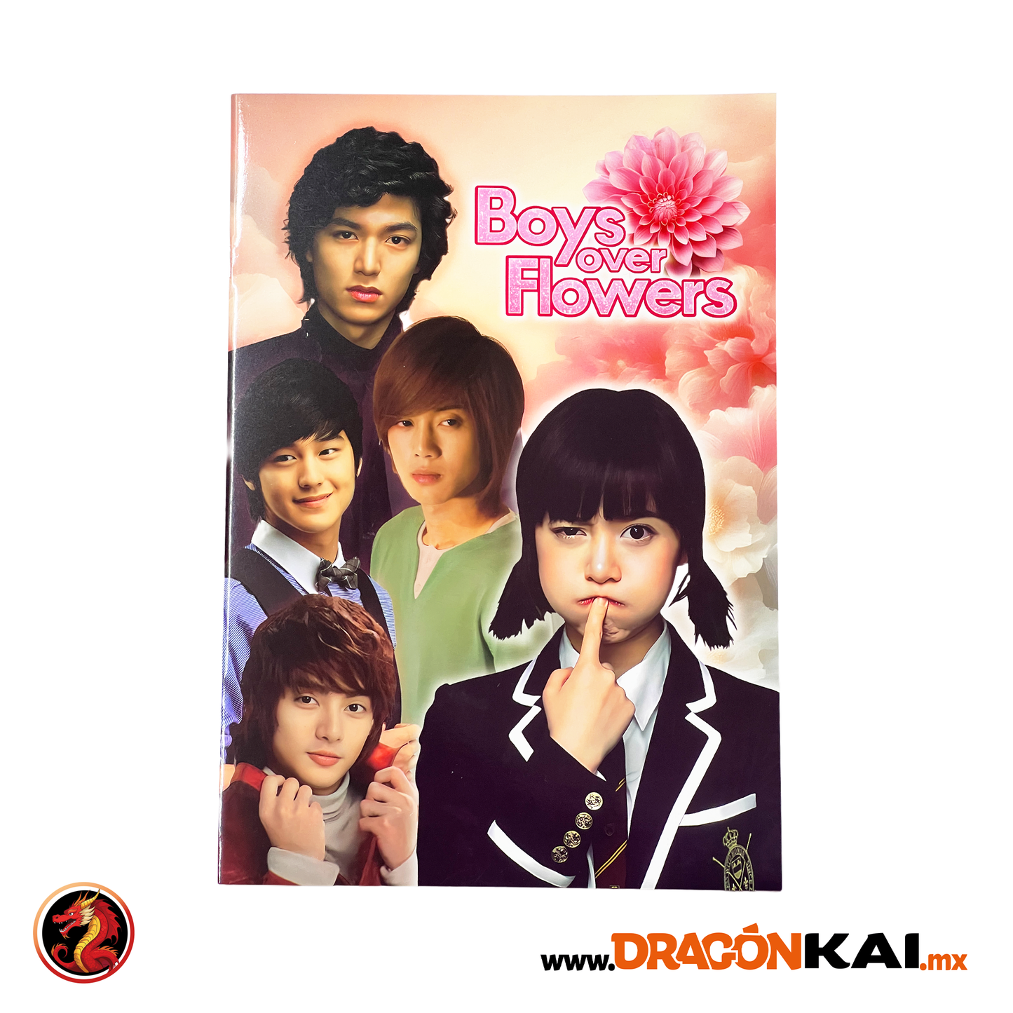 Álbum Boys Over Flowers + Set completo a pegar