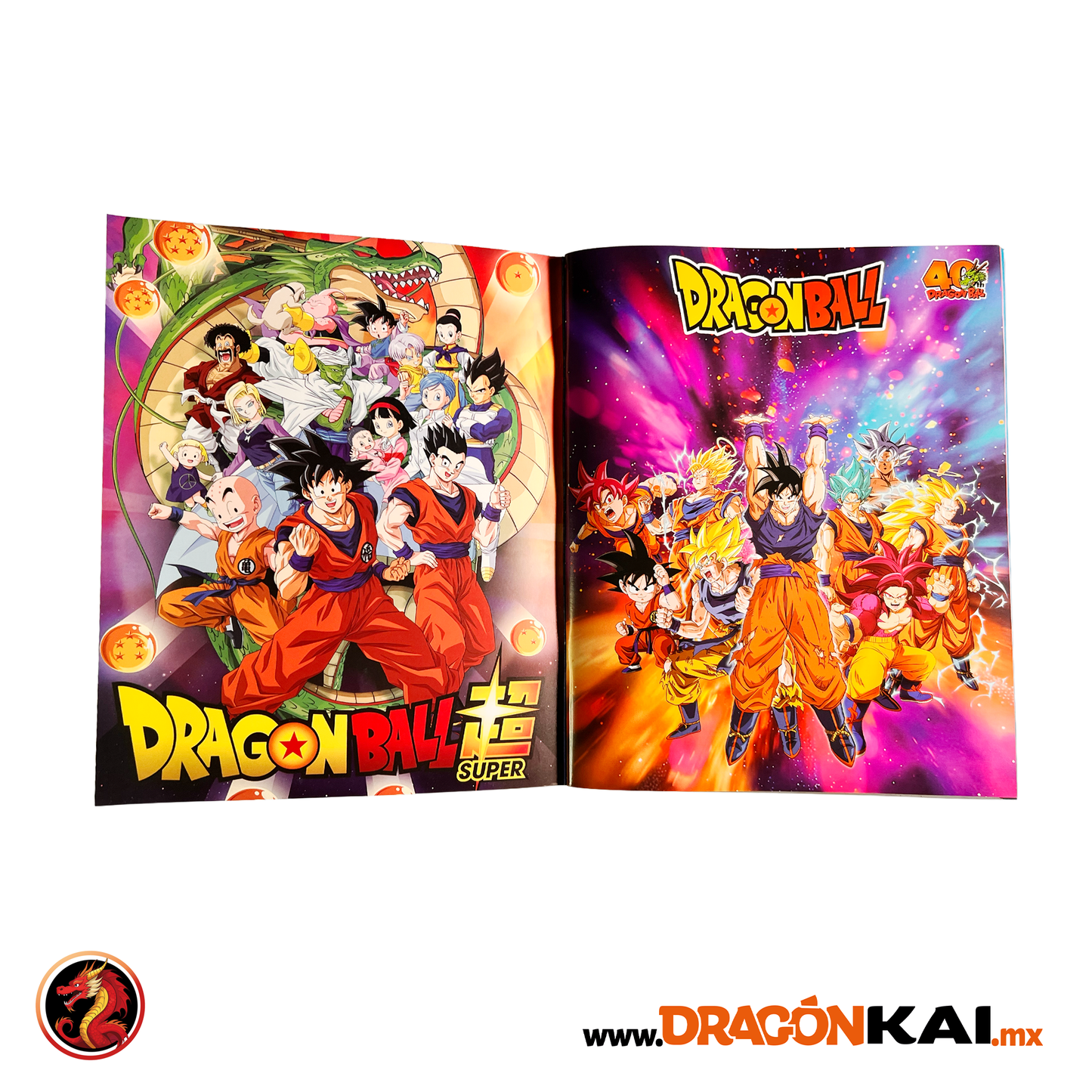Album Enciclopedia Dragon Ball + Set completo a pegar