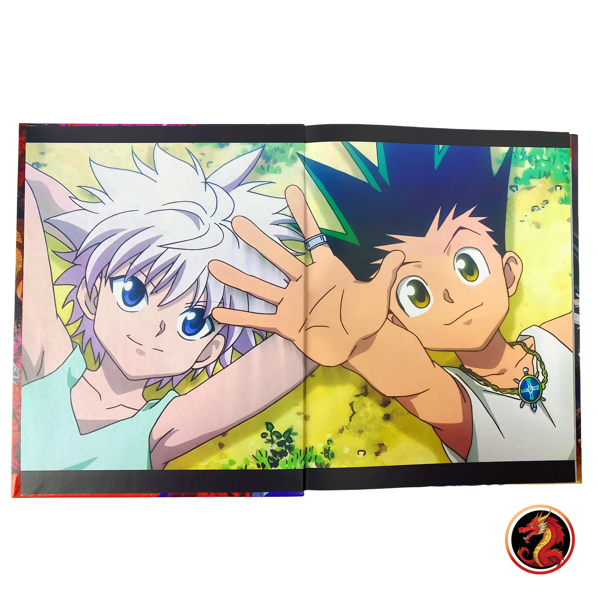 Álbum Pasta Dura Enciclopedia Galaxy Hunter x Hunter + Set Completo