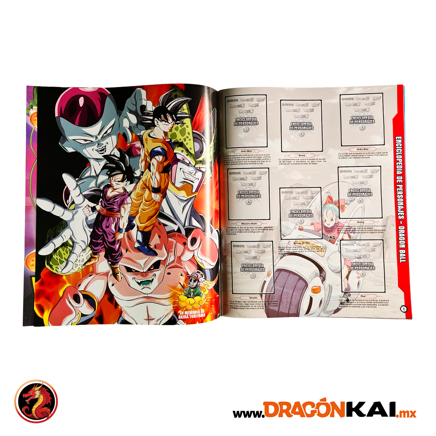 Album Enciclopedia Dragon Ball + Set completo a pegar