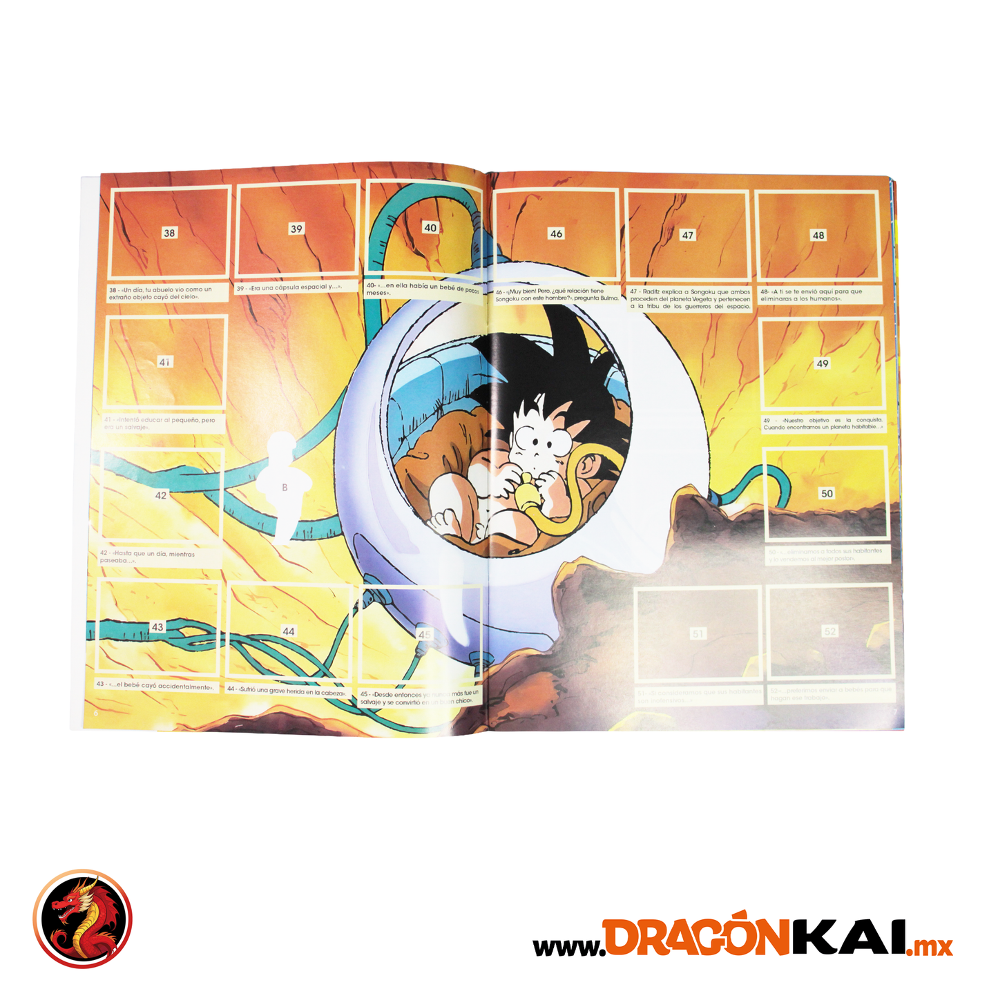 Álbum Dragon Ball Z (Re. Panini 1995) + Set completo a pegar