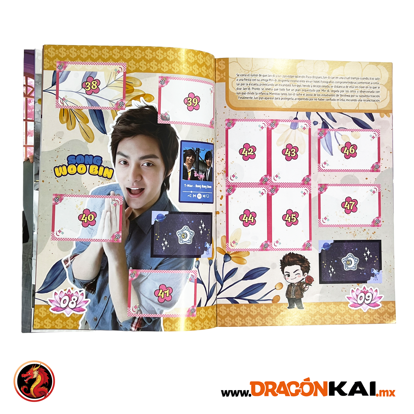 Álbum Boys Over Flowers + Set completo a pegar