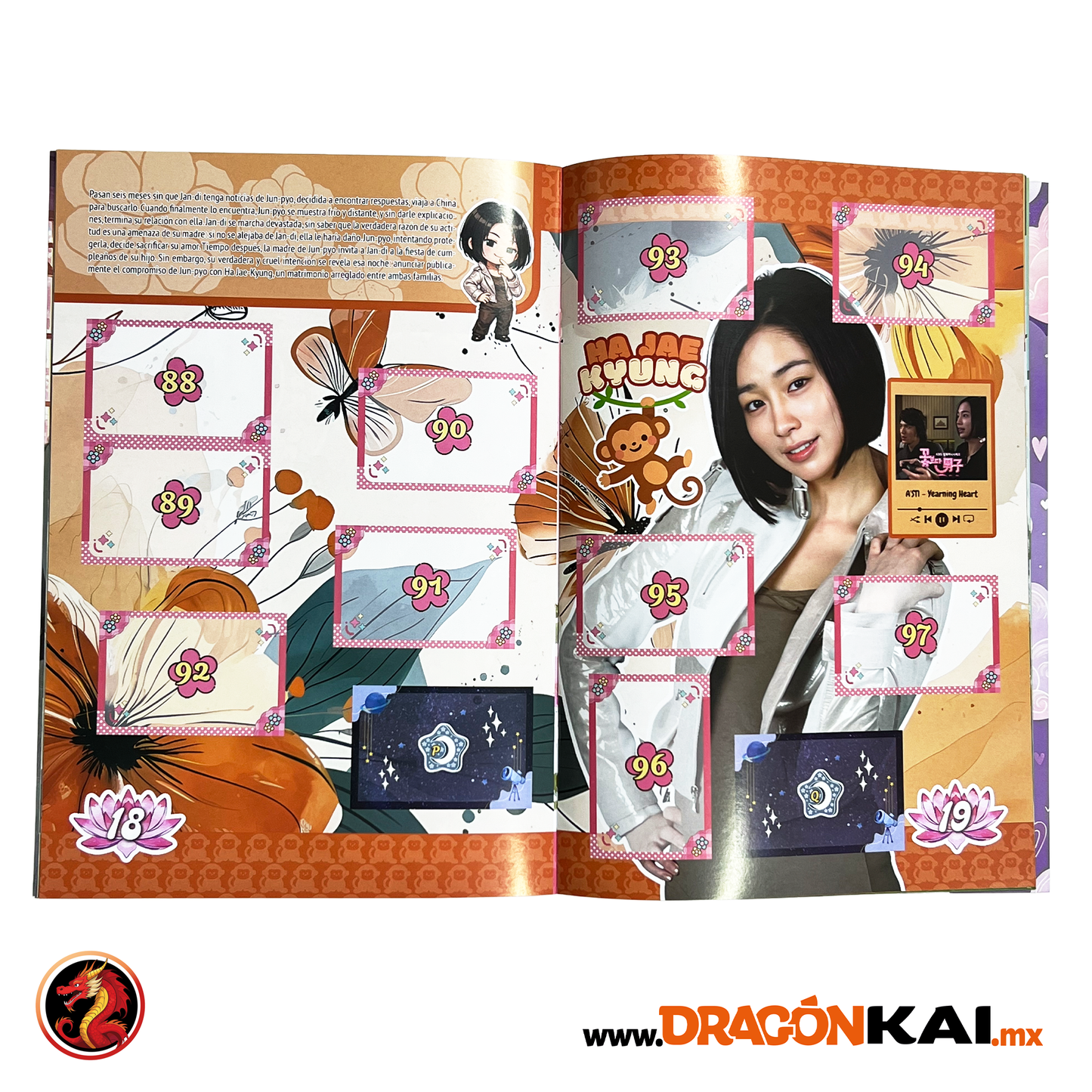 Álbum Boys Over Flowers + Set completo a pegar