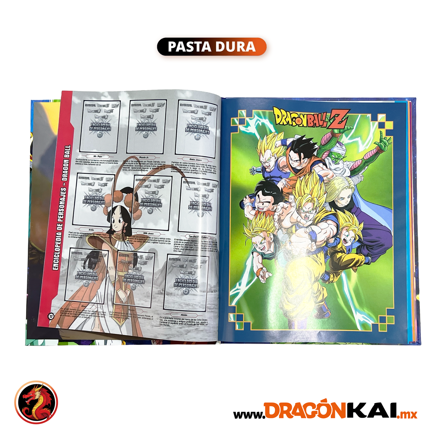 Álbum Pasta Dura Dragon Ball Galaxy: Enciclopedia de personajes + Set completo a pegar