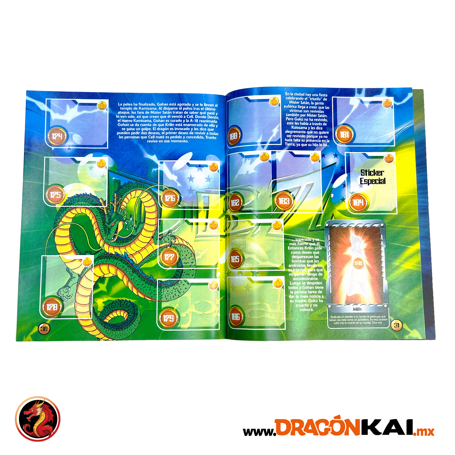 Álbum Dragon Ball Z3 (Ree. Navarrete 2008) + Set completo a pegar