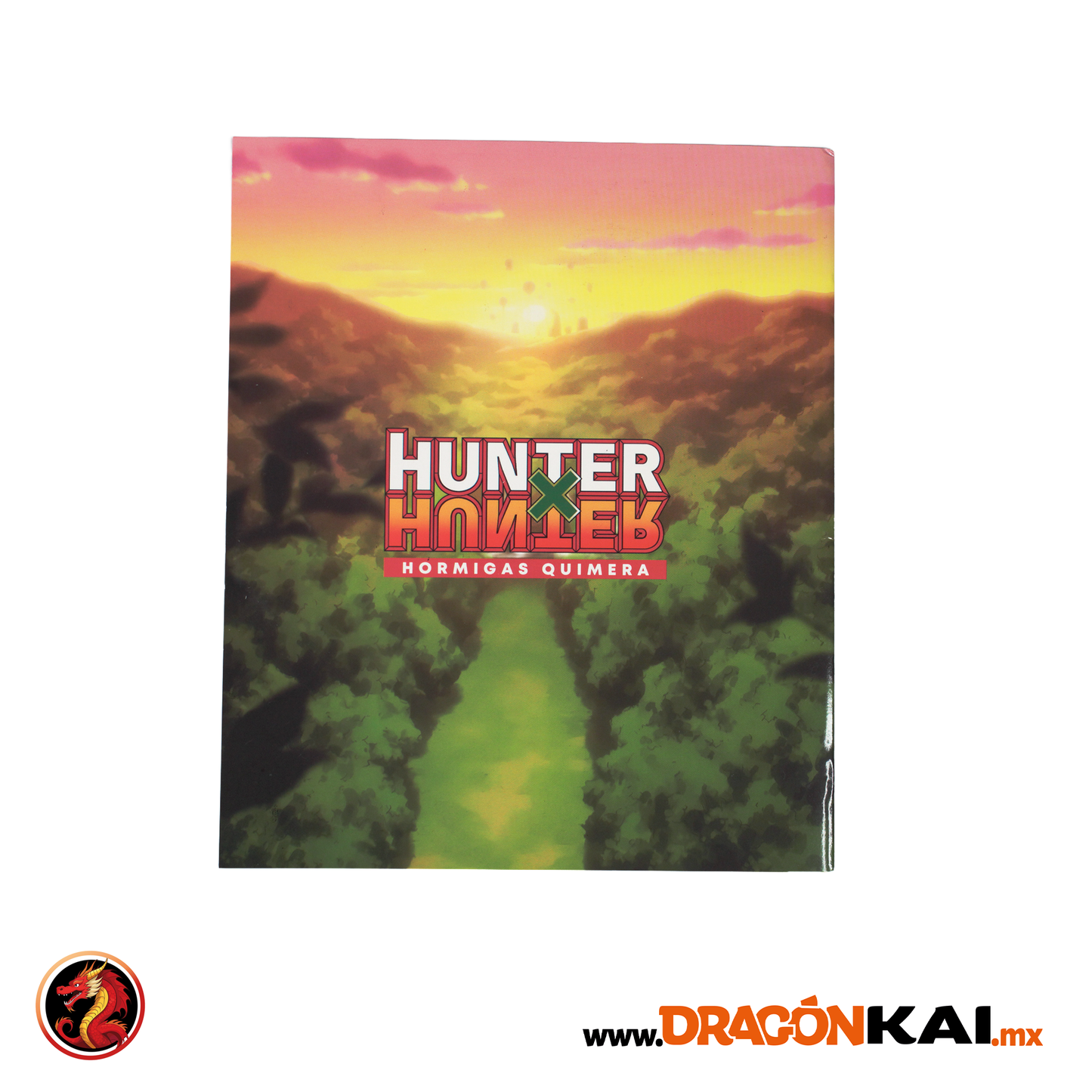 Álbum Hunter x Hunter + Set completo a pegar